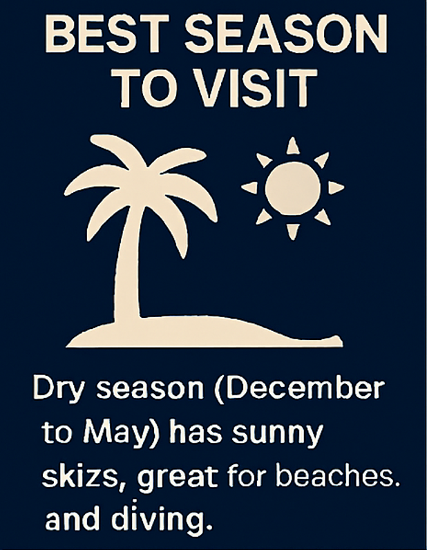 세부 여행하기 좋은 시기를 1~12월로 정리한 월별 추천표 인포그래픽.